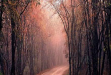 直肠癌肝转移天涯社区求助：一个患者的坚强求生存