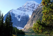 直肠癌肝转移天涯社区求助：一个患者的坚强求生存