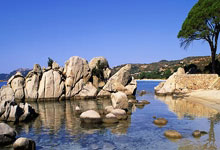 天涯四美男是哪四个